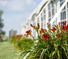 Maitre-et-compagnon-apiculture7a