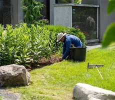Maitre-et-compagnon-apiculture8